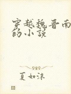 穿越魏晋南北朝的小说