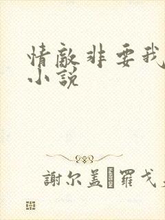 情敌非要我负责小说