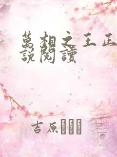 万相之王正版小说阅读