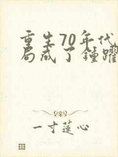 重生70年代开局成了钟跃民