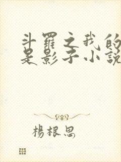 斗罗之我的武魂是影子小说