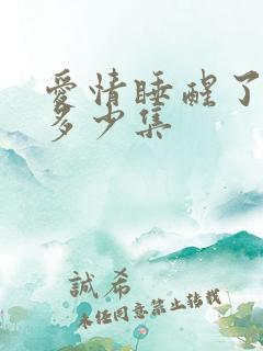 爱情睡醒了一共多少集