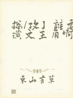 总/攻】谁要做璜文主角啊(快穿)