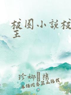 校园小说校霸男主