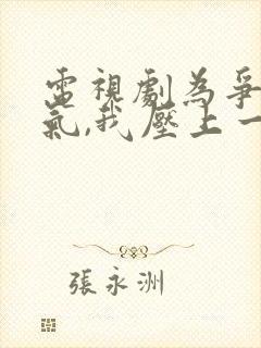 电视剧为争一口气,我压上一切全集