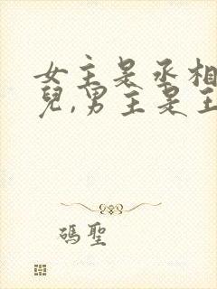 女主是丞相的女儿,男主是王爷