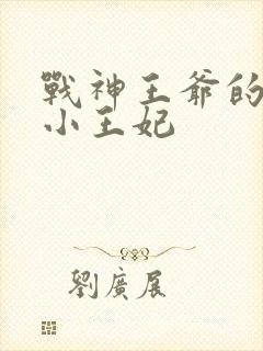 战神王爷的调皮小王妃