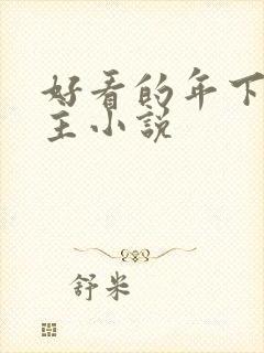 好看的年下双男主小说