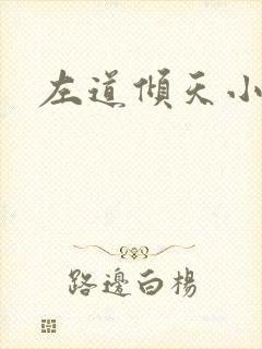 左道倾天小说