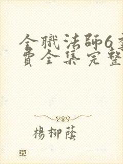 全职法师6季免费全集完整版