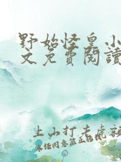 野始怪皇小说全文免费阅读