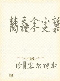 林天全小说免费阅读全文最新章节