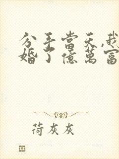 分手当天,我闪婚了亿万富豪有声小说完整