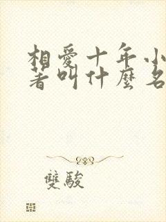 相爱十年小说原著叫什么名字