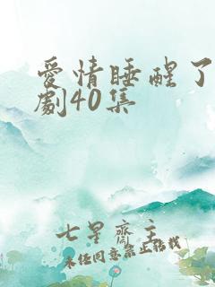 爱情睡醒了电视剧40集