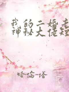 我的二婚老公是神秘大佬短剧