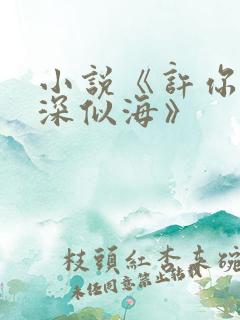 小说《许你情深深似海》