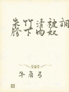 朱竹清被调教成胯下肉奴