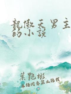 龙傲天男主是受的小说