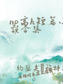 np高h短篇小说合集