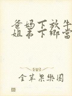 爸妈下放牛棚,姐弟下乡当知青的小说