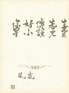 你好傅先生叶繁星小说免费阅读