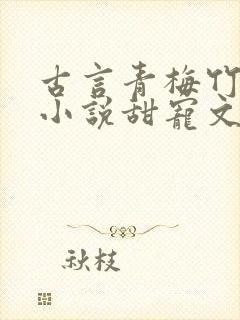 古言青梅竹马的小说甜宠文