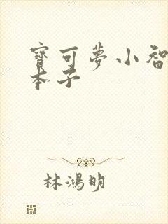 宝可梦小智妈妈本子