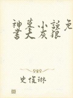 神墓小说免费听书大灰狼