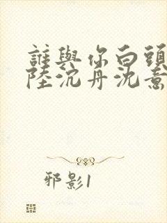 谁与你白头成眷陆沉舟沈意欢