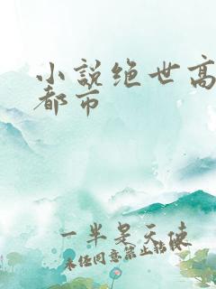 小说绝世高手在都市