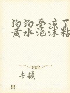 狗狗受凉了呕吐黄水泡沫粘液