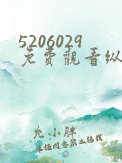 5206029免费观看纵有疾风起电视剧