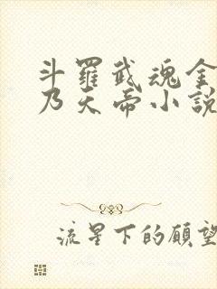 斗罗武魂金乌吾乃天帝小说