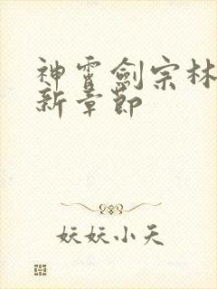 神霄剑宗林枫最新章节