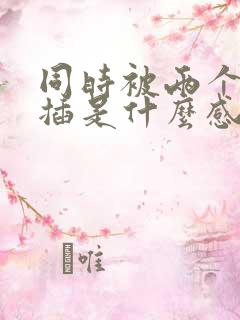 同时被两个男人插是什么感觉