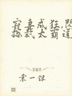 宠妻成狂,闪婚总裁太霸道