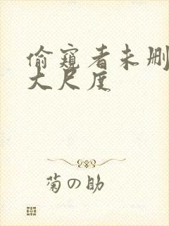 偷窥者未删减版大尺度