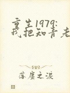 重生1979:我把知青老婆宠上天