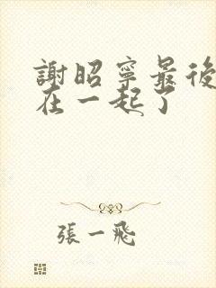 谢昭宁最后和谁在一起了