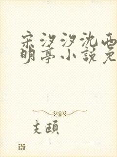 宋汐汐沈西今陆明亭小说免费阅读