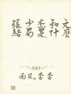 张少杰和文清大结局是什么