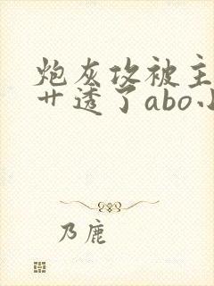 炮灰攻被主角攻艹透了abo小说