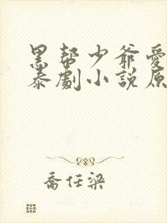 黑帮少爷爱上我泰剧小说原著