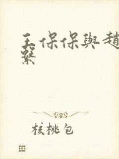 王保保与赵敏关系