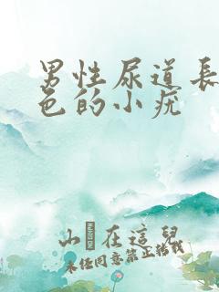 男性尿道长了白色的小疣