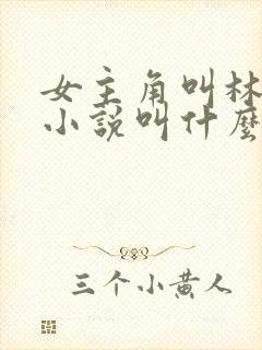 女主角叫林晚的小说叫什么名字