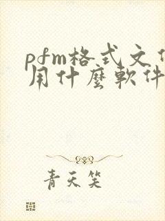 pfm格式文件用什么软件打开