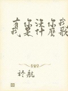 有你没你我都是我是什么歌