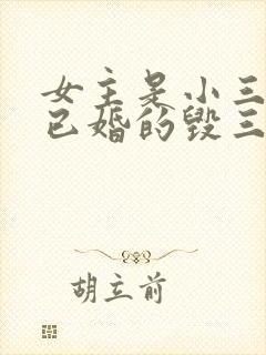 女主是小三男主已婚的毁三观小说